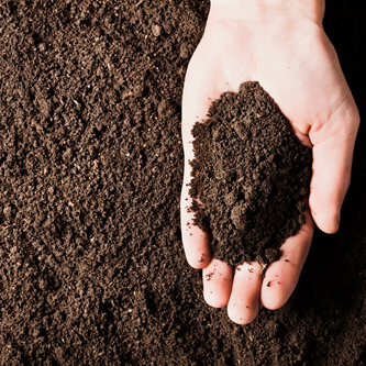 Soils Image